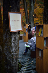 紅葉図書館　