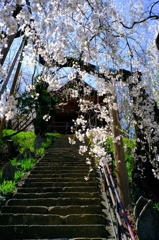 風雲庵