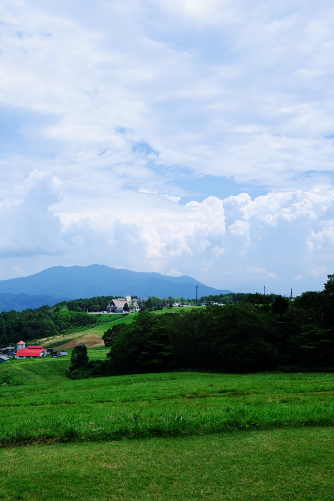 草原の夏