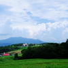 草原の夏