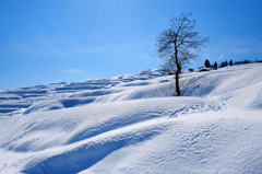 雪の姨捨棚田