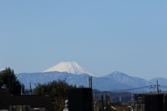 神代植物園_深大寺_010