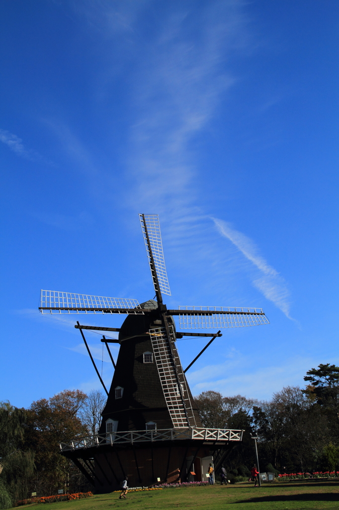 DPP_0008