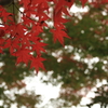 DPP_0012