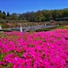 神代植物公園_34