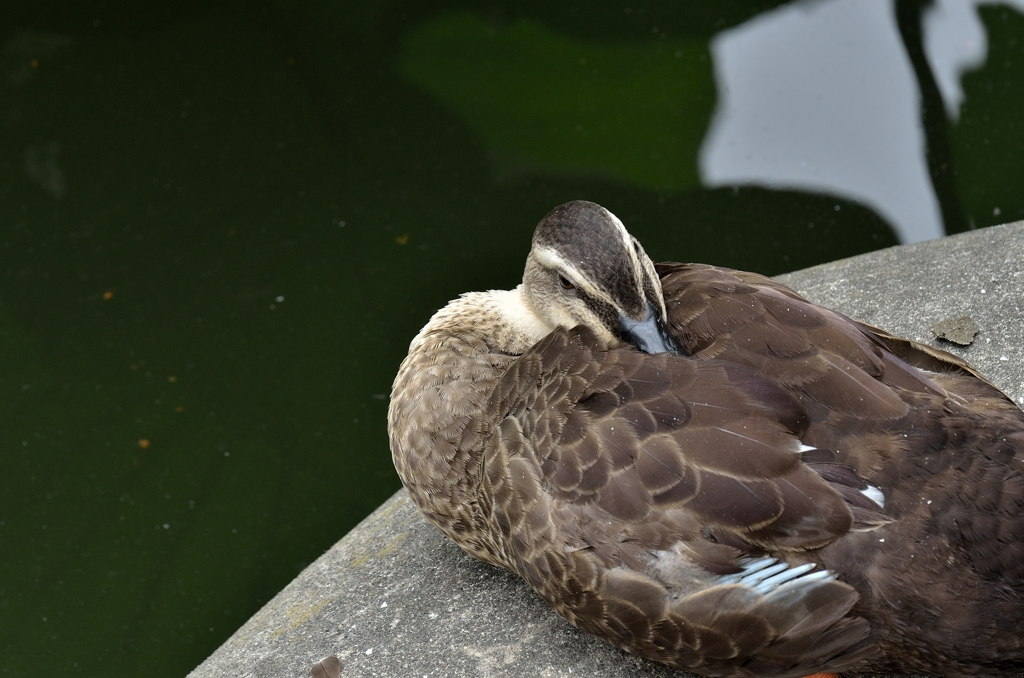 ・・・なにか？