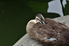 ・・・なにか？