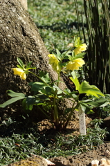 VO0A4970_1