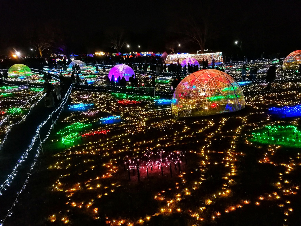 昭和記念公園_004