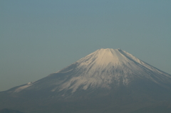 DPP_0003