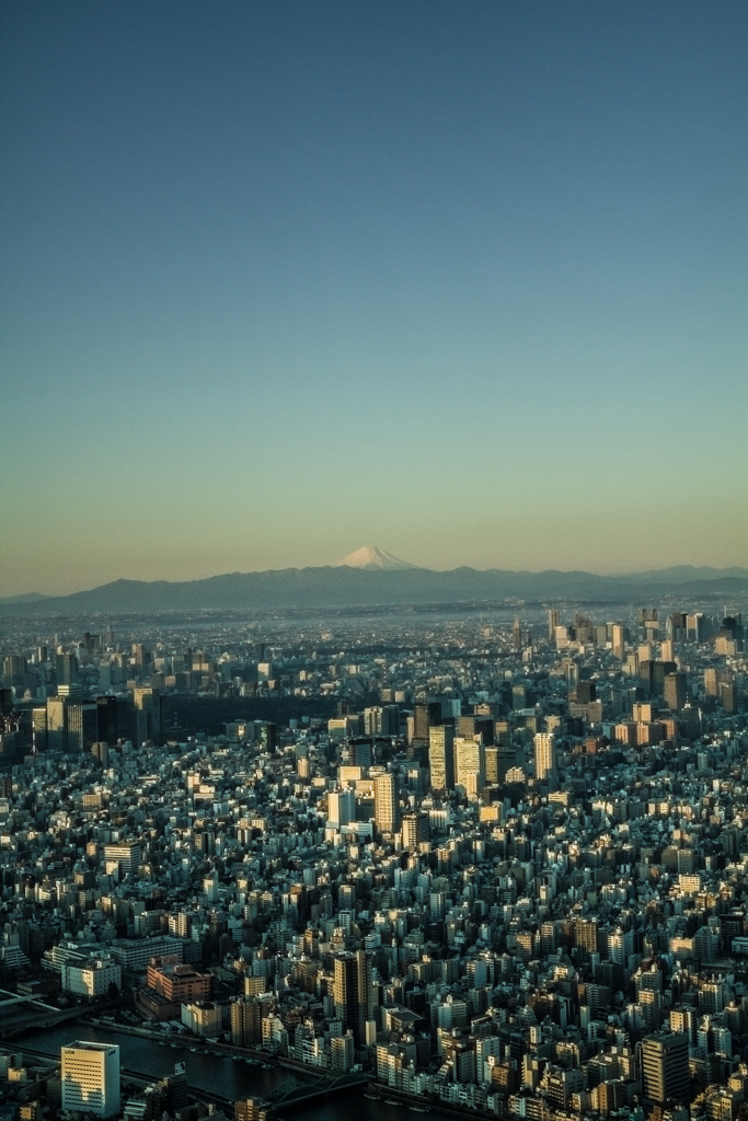 元旦の富士山