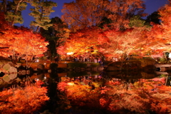 大田黒公園_ライトアップ_1