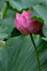 はずかしい・・・