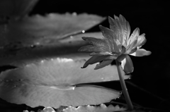 VO0A5499_2