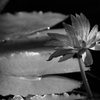 VO0A5499_2