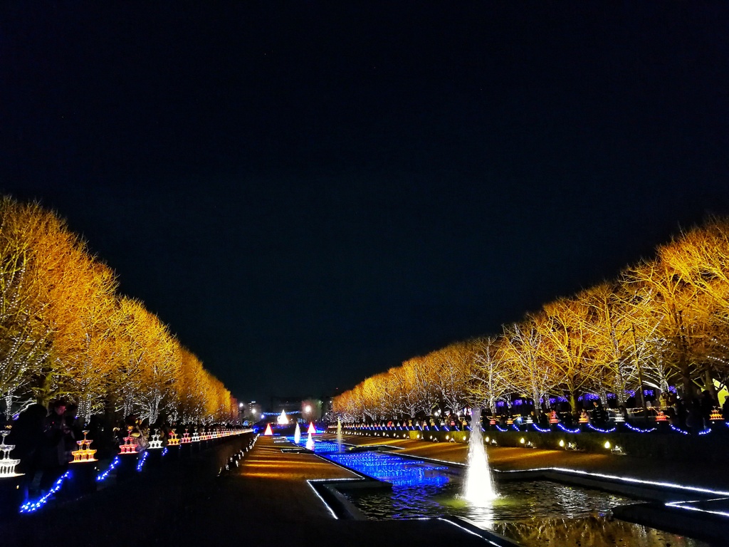 昭和記念公園_002