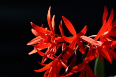 VO0A5434_1