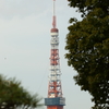 VO0A4925