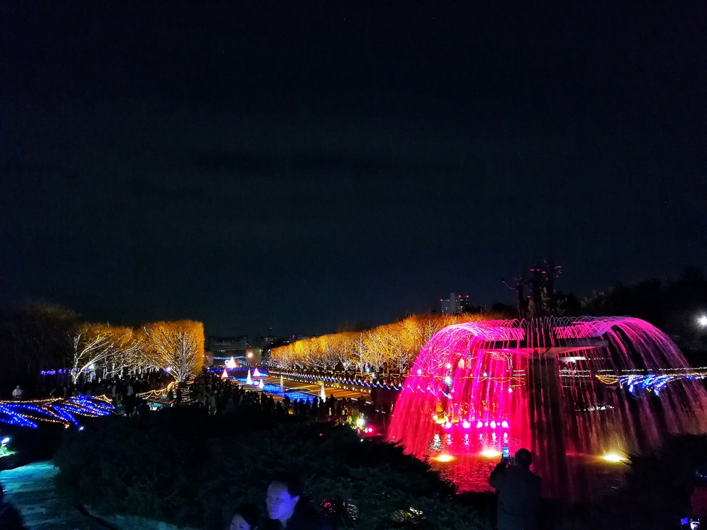 昭和記念公園_003