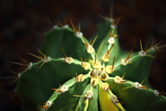 神代植物公園_30