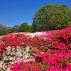 神代植物公園_36