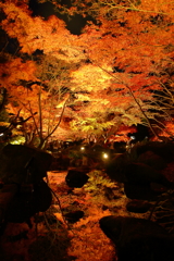 大田黒公園_ライトアップ_2