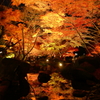 大田黒公園_ライトアップ_2