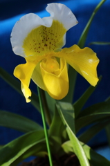 VO0A5360_1