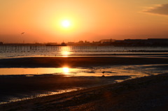 夕日