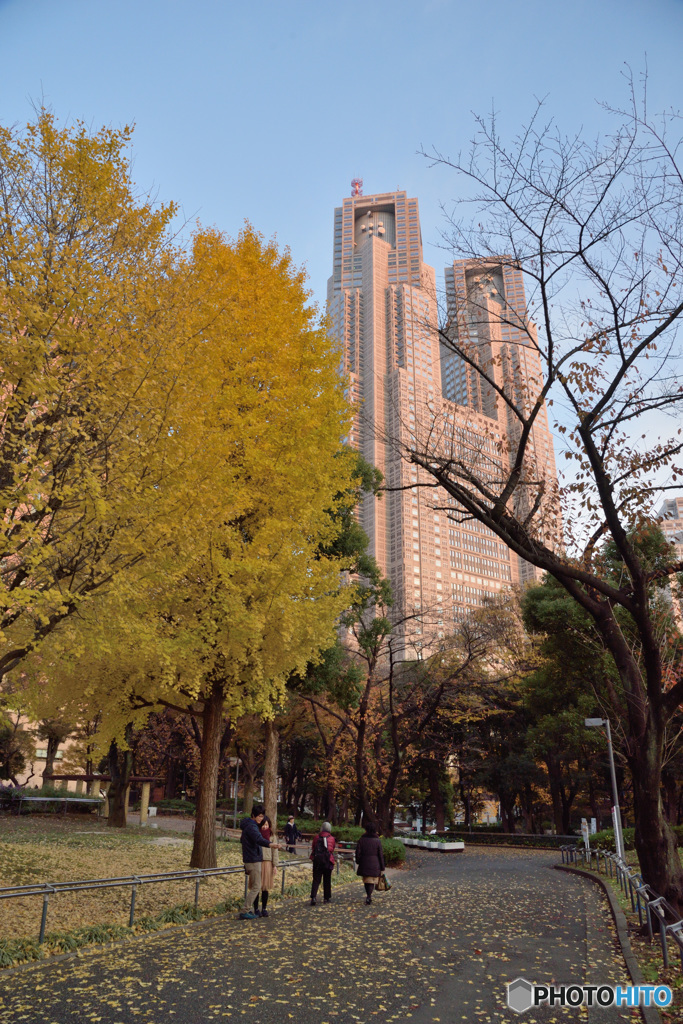 新宿6