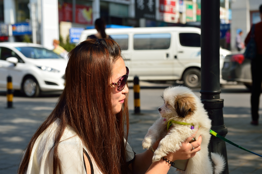 美女と愛犬