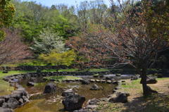 庭園風景