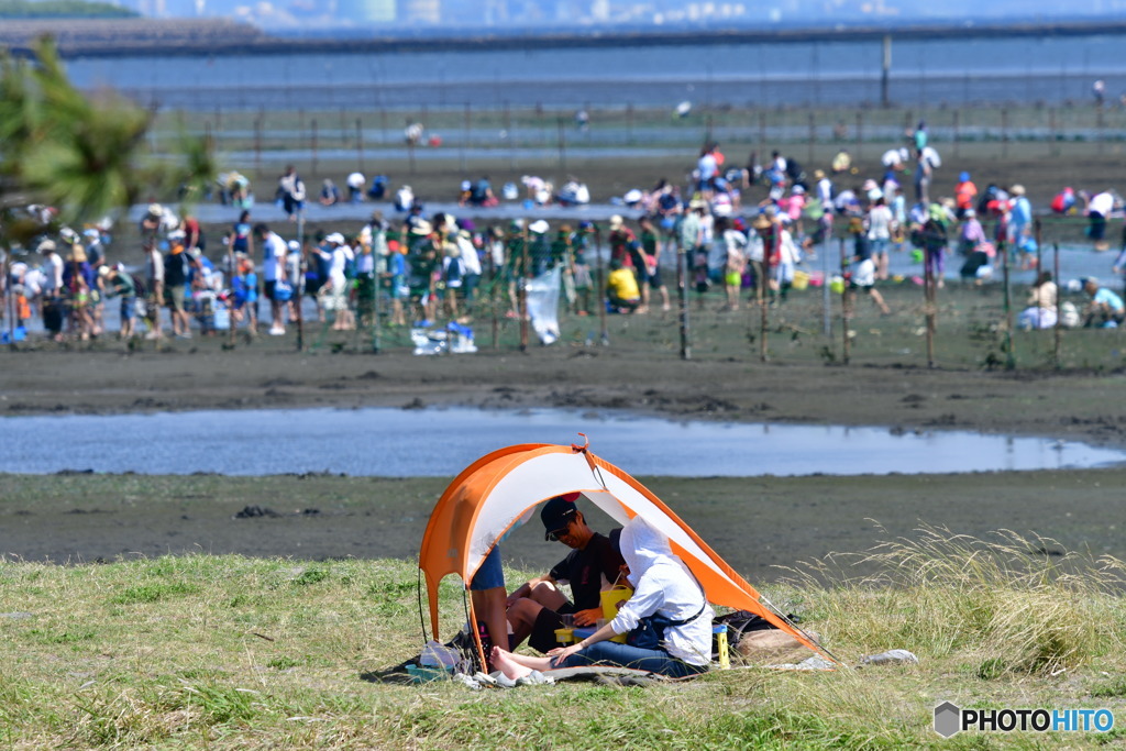 夏が来た