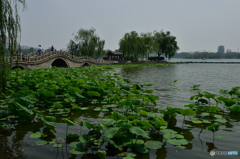 済南大明湖
