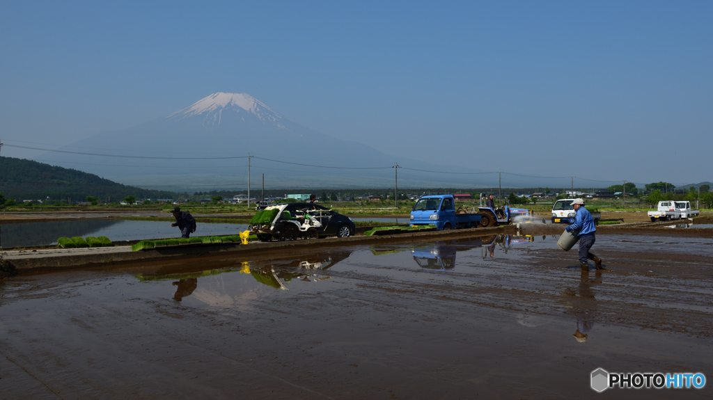 田植え準備