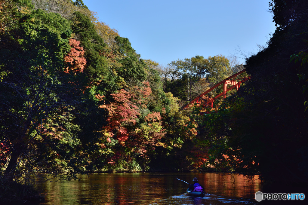 亀山湖紅葉2