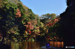 亀山湖紅葉2