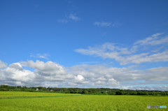 田園風景