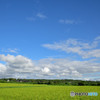 田園風景