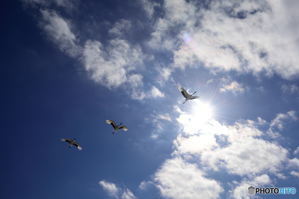 大空へ