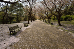 道
