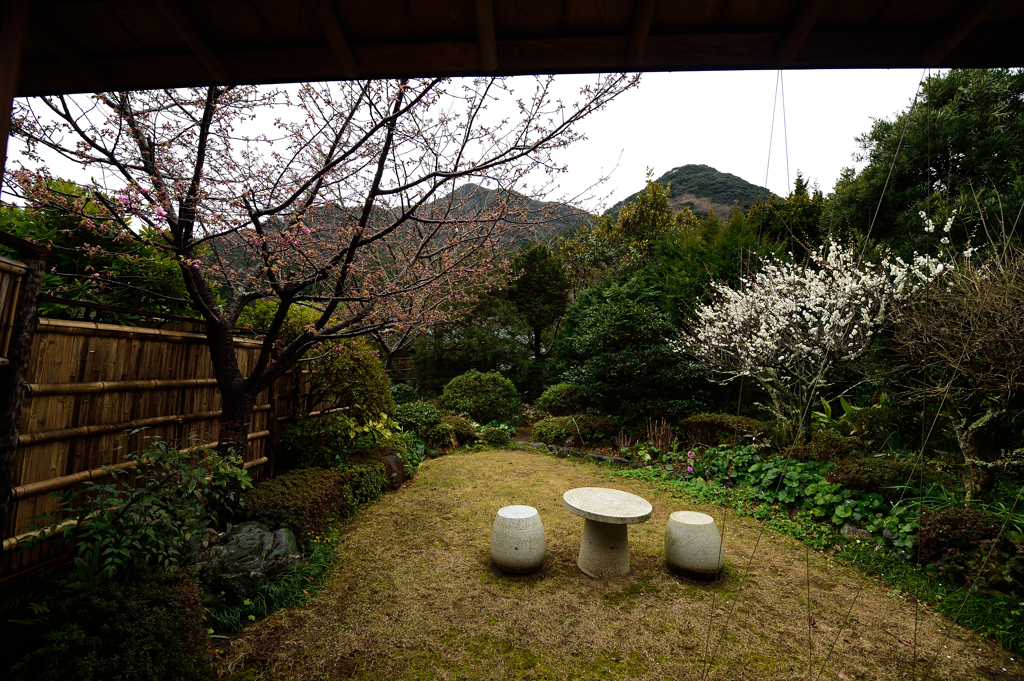 旅館の窓から