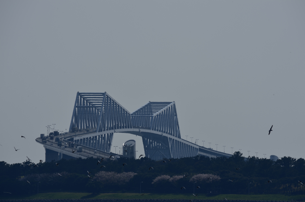 葛西臨海ゲートブリッジ３