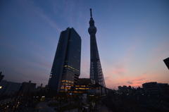夕焼けツリー