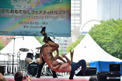 Multicultural One Family Festival 2015