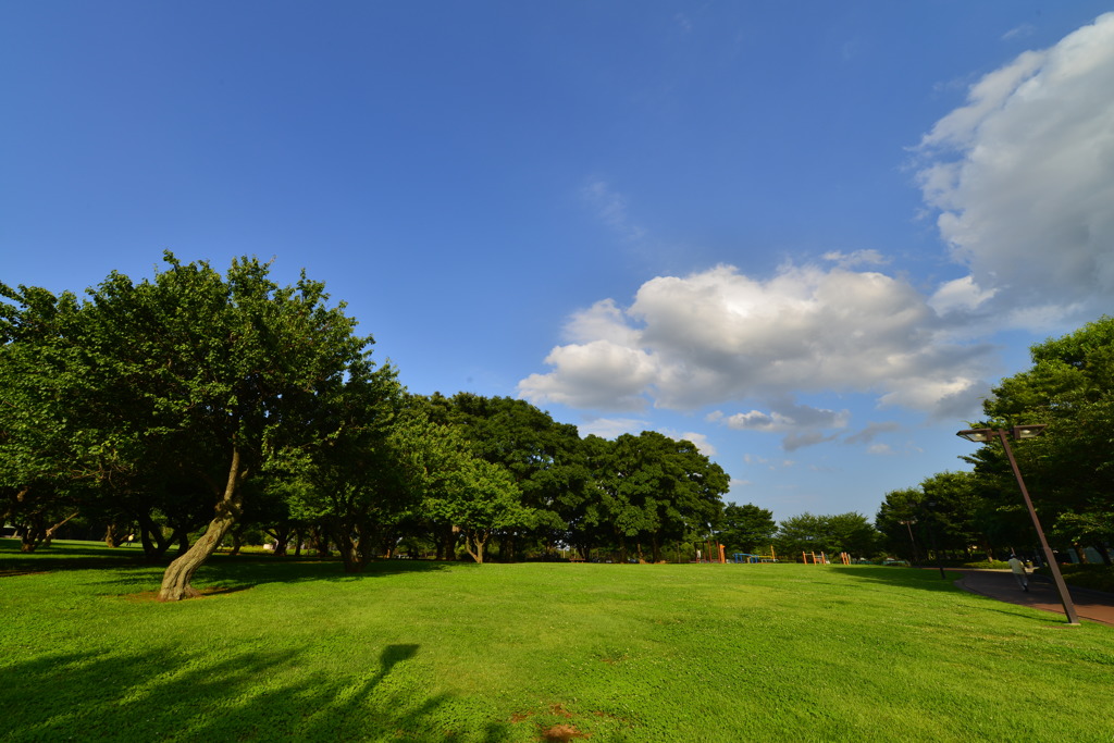 花島公園