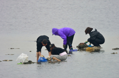 潮干狩り7（今日の成果）