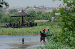 大連湿地公園