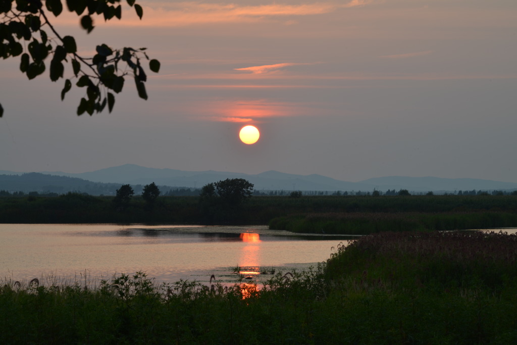 ウスリー川の夕日