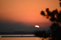 三番瀬公園の夕日富士